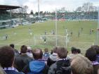 Fans 6